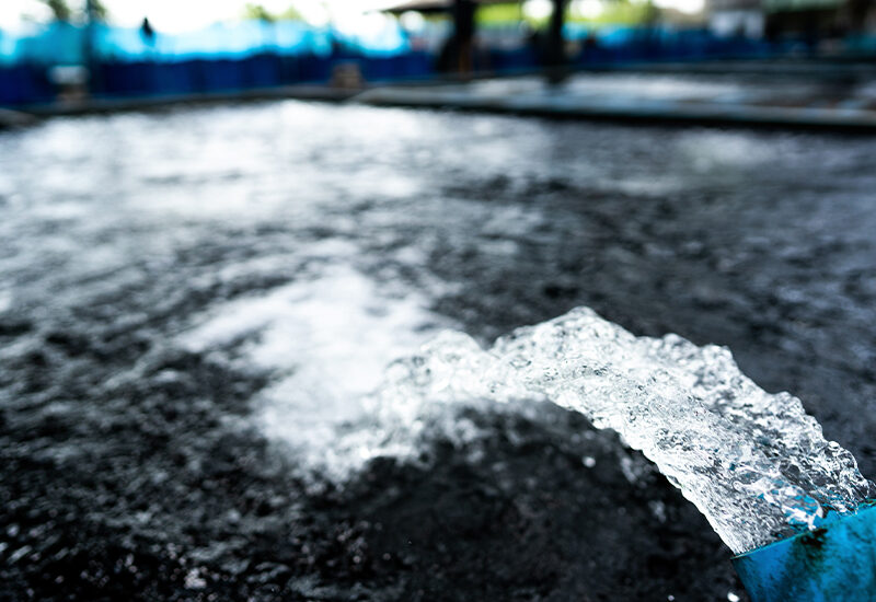 Coral Environmental Cleans up with Workpal