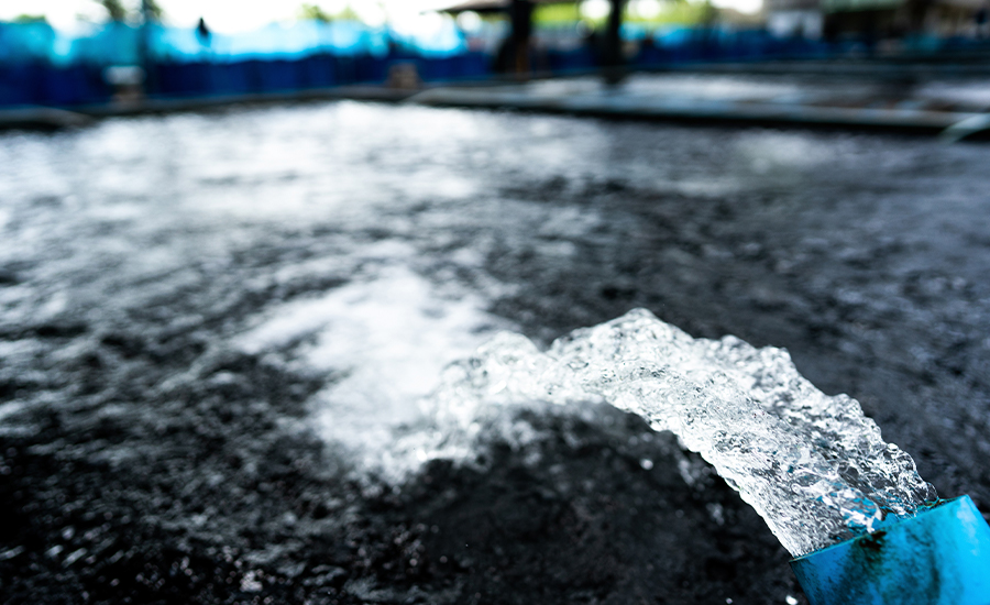 Coral Environmental Cleans up with Workpal