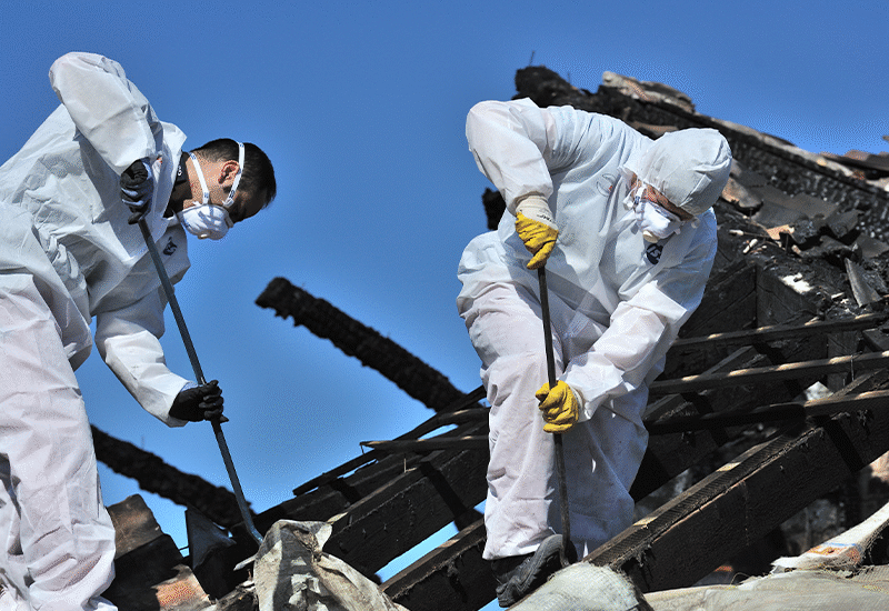 WorkPal Boosts Efficiency: React Services