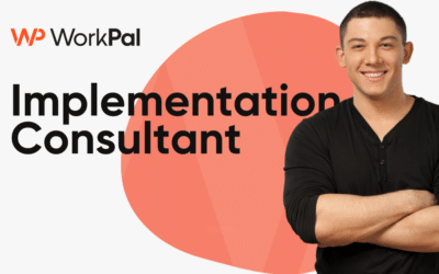Implementation Consultant