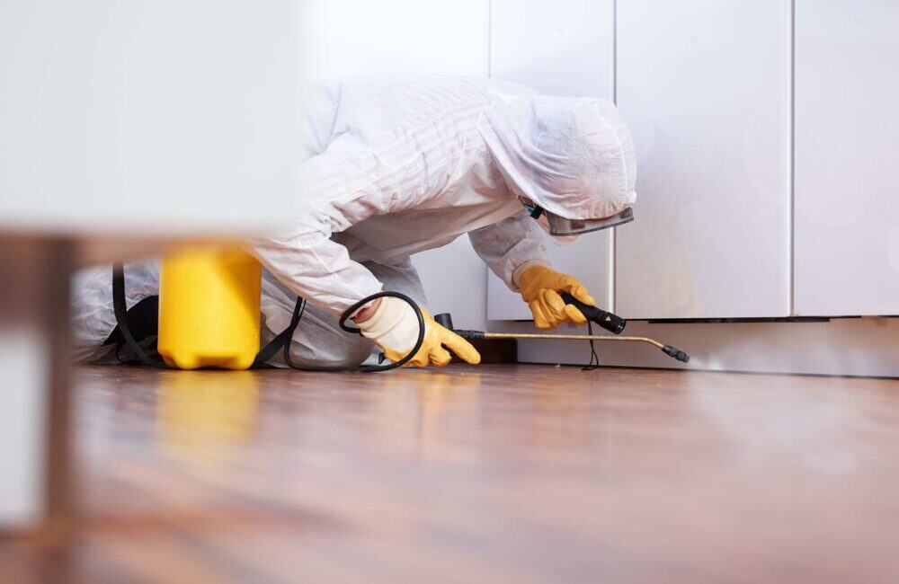 Northern Pest Control Upgrade to a Cloud-Based Solution for Job Management