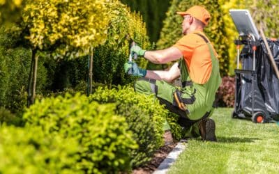 Streamline Operations With Landscaping Management Platforms
