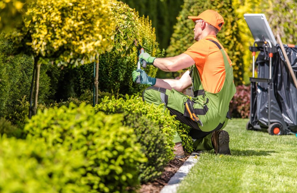 Streamline Operations With Landscaping Management Platforms